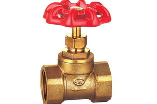 暖氣閥門選購與操作全指南 價(jià)格、類型與使用詳解