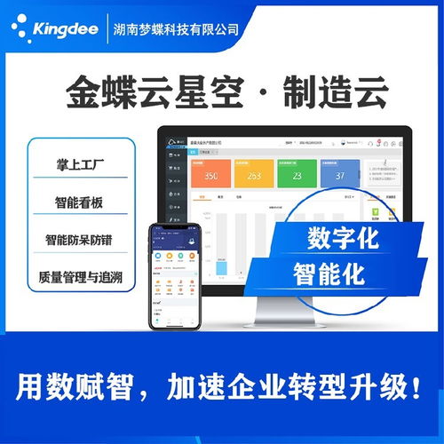 岳陽(yáng)大型金蝶erp軟件